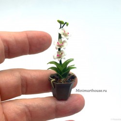 Орхидея белая в горшке, масштаб 1:12